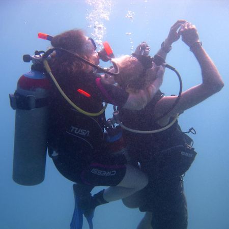 Oonas Dive Club 호텔 샤름 엘 셰이크 외부 사진