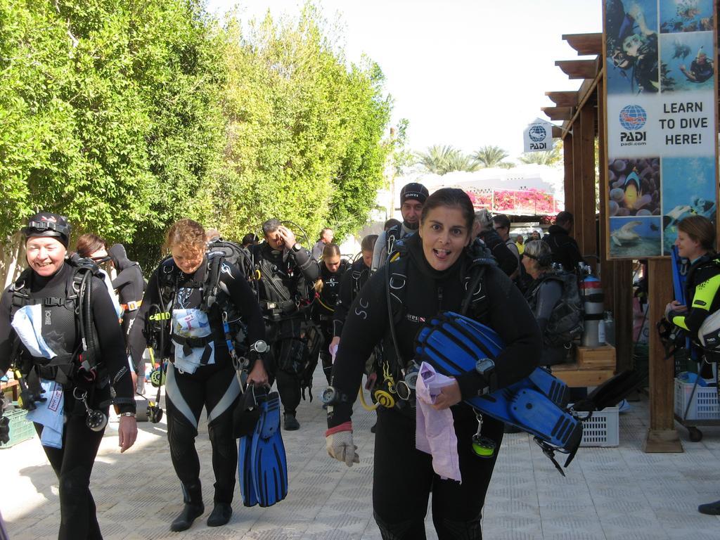 Oonas Dive Club 호텔 샤름 엘 셰이크 외부 사진